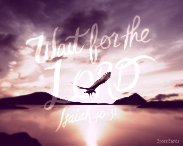 Bird flying lake cloudy sky free wallpaper - medium preview image