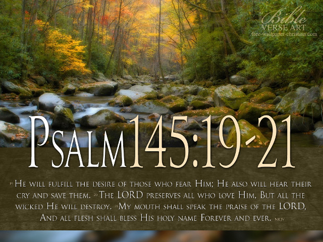Bible verse stream water trees #2 free wallpaper - medium preview image