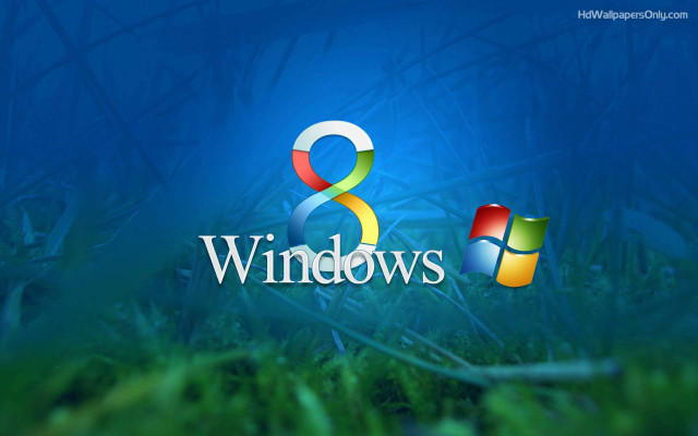 Windows8 blue background grass blades free wallpaper - medium preview image