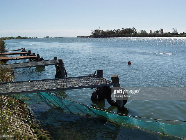 Man wet suit sitting dock free wallpaper - medium preview image
