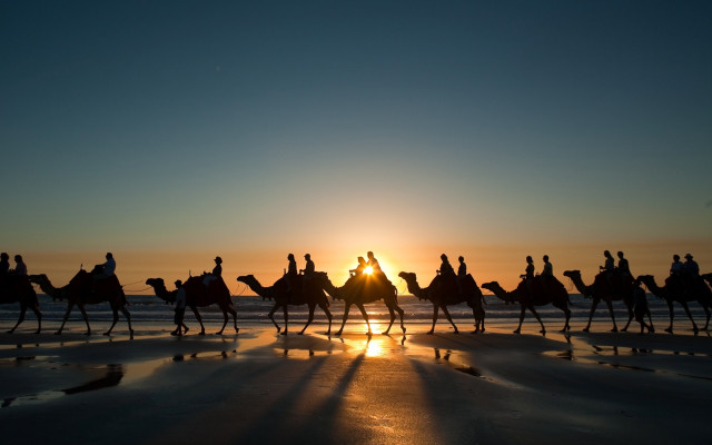 Camel ride beach sunset group free wallpaper - medium preview image