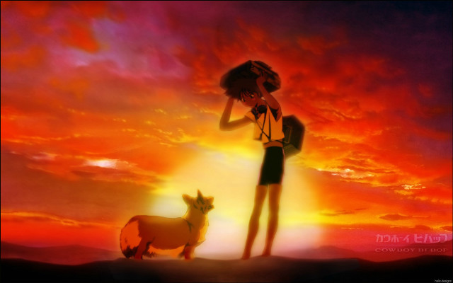 Woman dog sunset sky clouds free wallpaper - medium preview image
