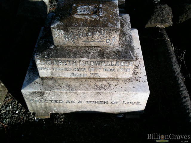 Headstones cement slab grass tree free wallpaper - medium preview image