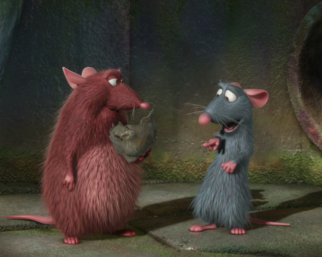 Mice standing field grass rocks free wallpaper - medium preview image