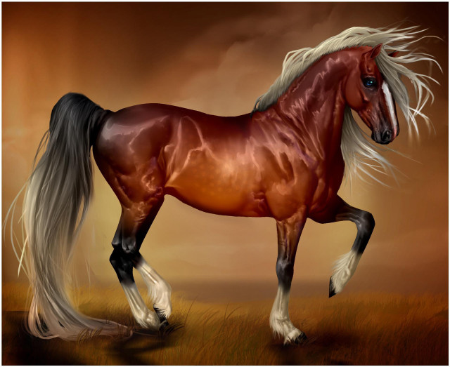 Horse long mane field grass free wallpaper - medium preview image
