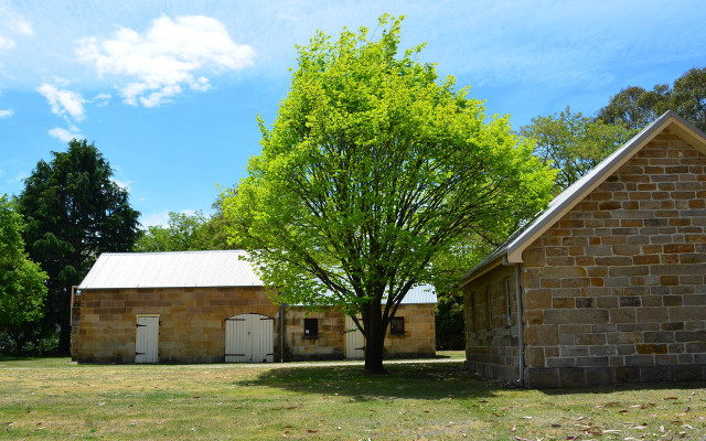 Tree brick building white roof free wallpaper - medium preview image