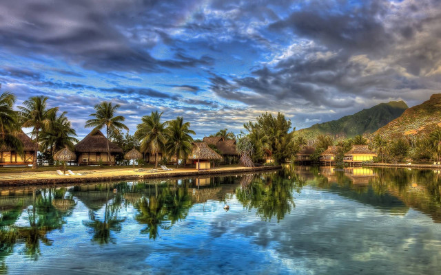 Tropical resort lake palm trees free wallpaper - medium preview image