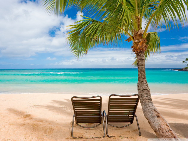 Two chairs beach palm tree #7 free wallpaper - medium preview image