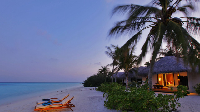 Beach chair hut dusk palm free wallpaper - medium preview image