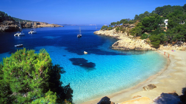 Beach boats trees blue sky free wallpaper - medium preview image