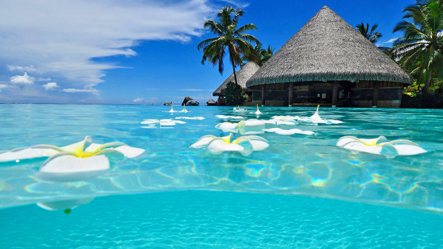 Tropical beach thatched roof flowers free wallpaper - medium preview image
