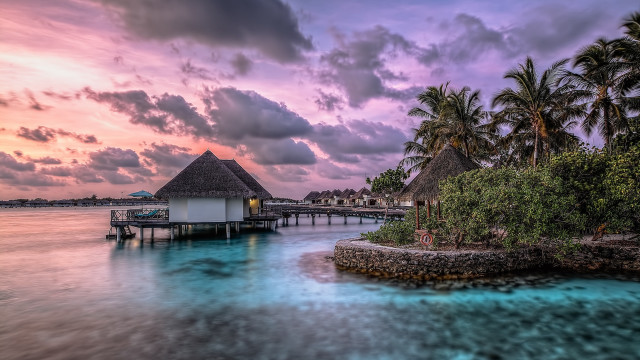 Pier hut palm trees sunset free wallpaper - medium preview image