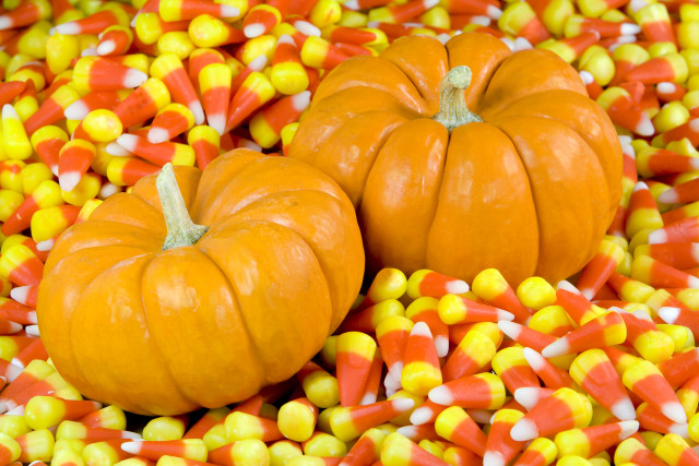 Pumpkins candy corn table background #2 free wallpaper - medium preview image