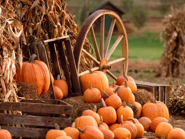 Pumpkins hay wagon fall autumn free wallpaper - medium preview image