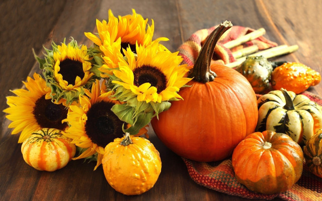 Pumpkins sunflowers squash table autumn free wallpaper - medium preview image