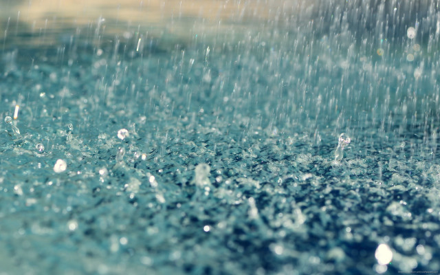 Close up rain shower water free wallpaper - medium preview image