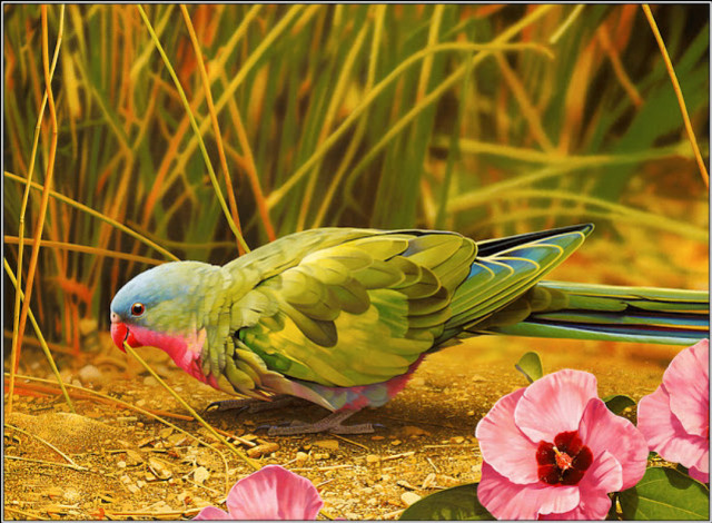 Green blue pink bird flowers free wallpaper - medium preview image