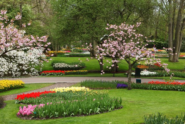 Garden flowers trees bench nature free wallpaper - medium preview image