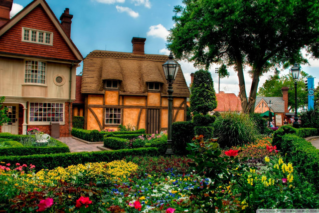 House garden flowers tree nature free wallpaper - medium preview image