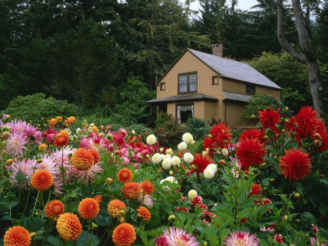 House surrounded by flowers garden free wallpaper - medium preview image
