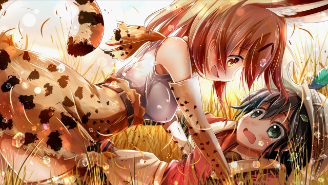 Girl cow grass field cat free wallpaper - medium preview image