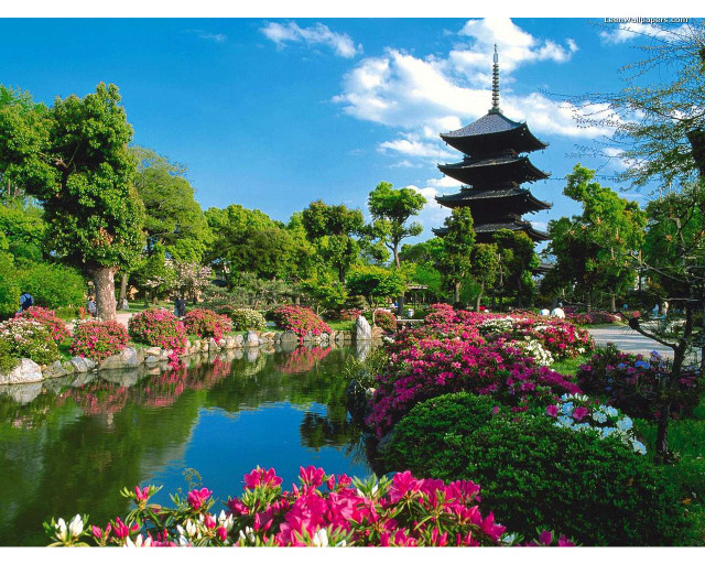 Pond flowers pagoda blue sky free wallpaper - medium preview image