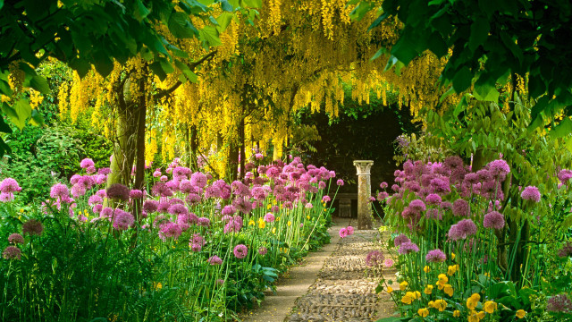 Garden flowers trees stone path free wallpaper - medium preview image