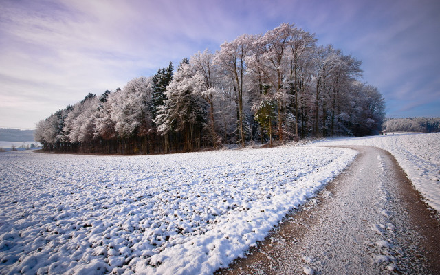 Snowy road field trees blue free wallpaper - medium preview image