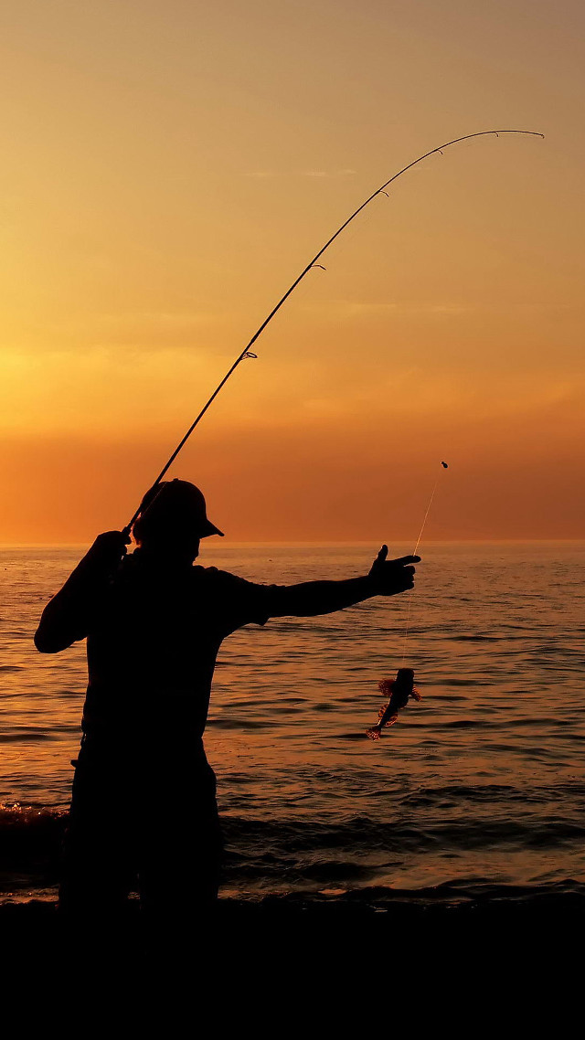 Man fishing sunset beach fish free wallpaper - medium preview image