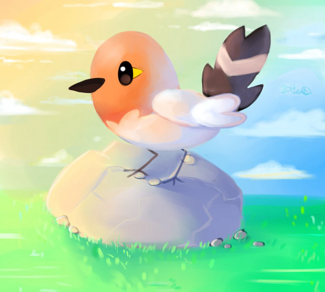 Bird rock grass sky clouds free wallpaper - medium preview image