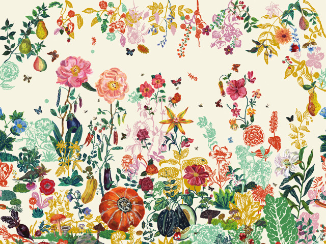 Flowers plants white background border free wallpaper - medium preview image