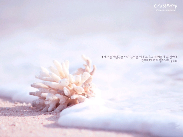 White flower sandy beach love free wallpaper - medium preview image
