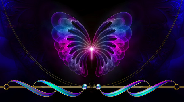 Butterfly purple blue wings black free wallpaper - medium preview image
