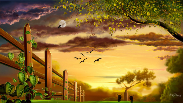 Sunset fence tree birds walking free wallpaper - medium preview image
