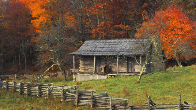Rustic cabin woods fall colors #2 free wallpaper - medium preview image