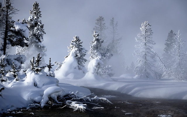Snowy forest stream mountain mist free wallpaper - medium preview image