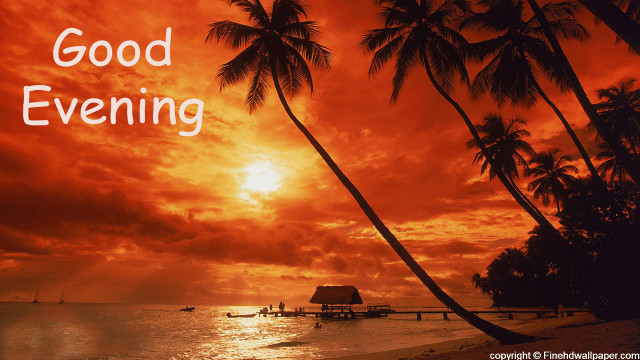 Sunset palm trees boat water #2 free wallpaper - medium preview image