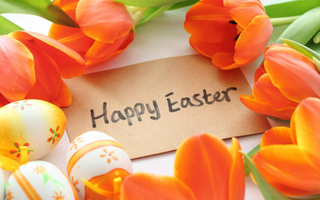 Happy easter orange tulips eggs free wallpaper - medium preview image