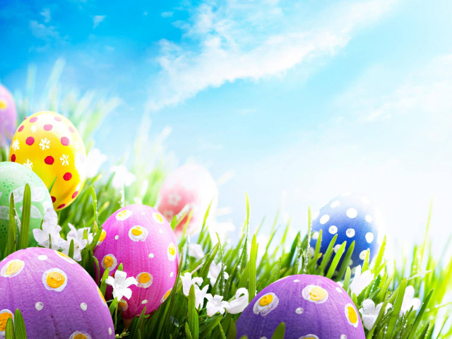 Colorful eggs grass daisies decorated free wallpaper - medium preview image