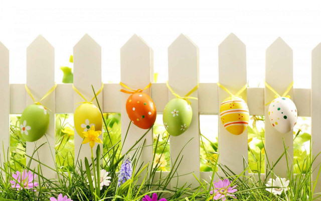 White picket fence easter eggs free wallpaper - medium preview image