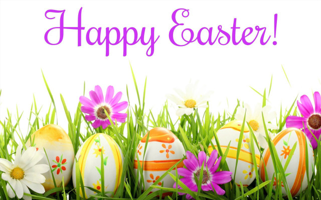 Eggs grass daisies happy easter free wallpaper - medium preview image
