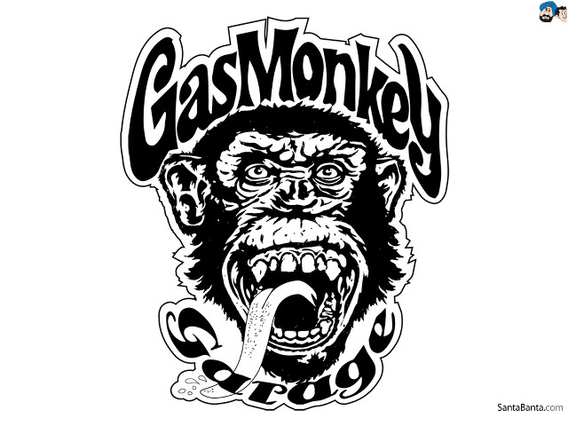 Monkey tongue out gas monkey free wallpaper - medium preview image