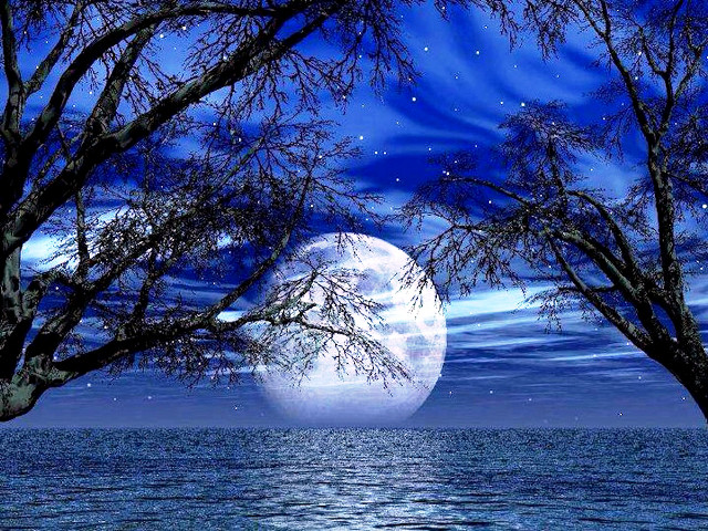 Full moon trees water night free wallpaper - medium preview image