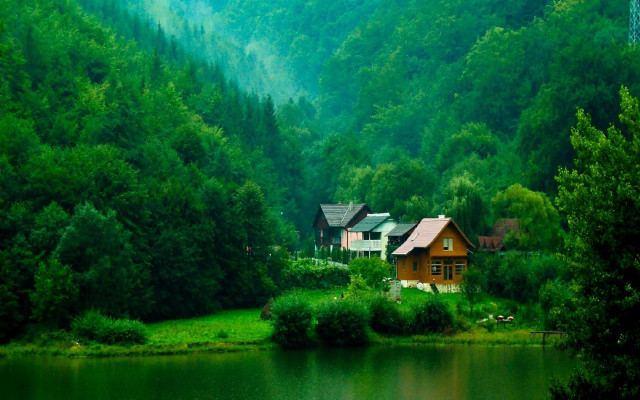 House forest lake background nature #3 free wallpaper - medium preview image