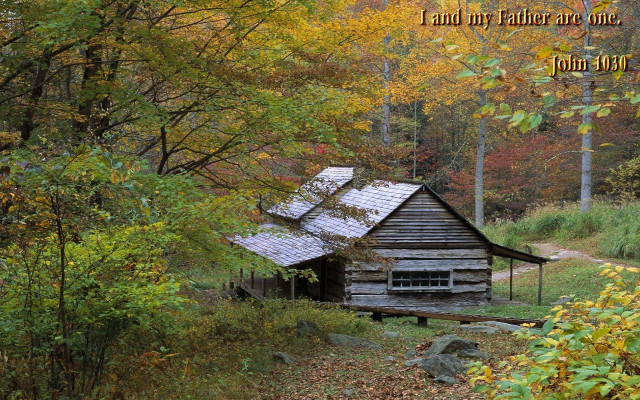 Cabin in the woods quote free wallpaper - medium preview image