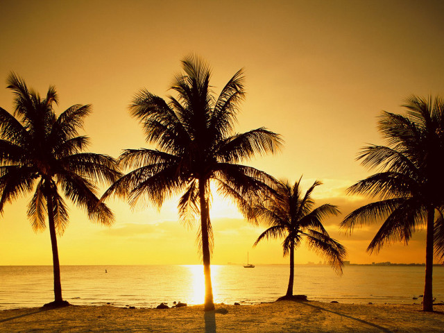 Palm trees beach sunset clouds #2 free wallpaper - medium preview image