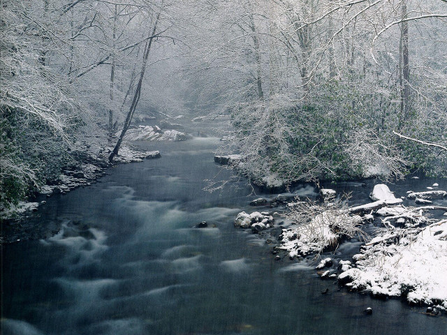 Snowy stream forest trees rocks free wallpaper - medium preview image