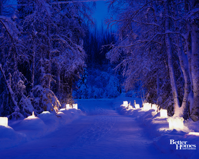 Snowy path night lights trees free wallpaper - medium preview image