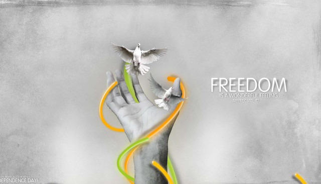 Hand bird flying streamers air free wallpaper - medium preview image