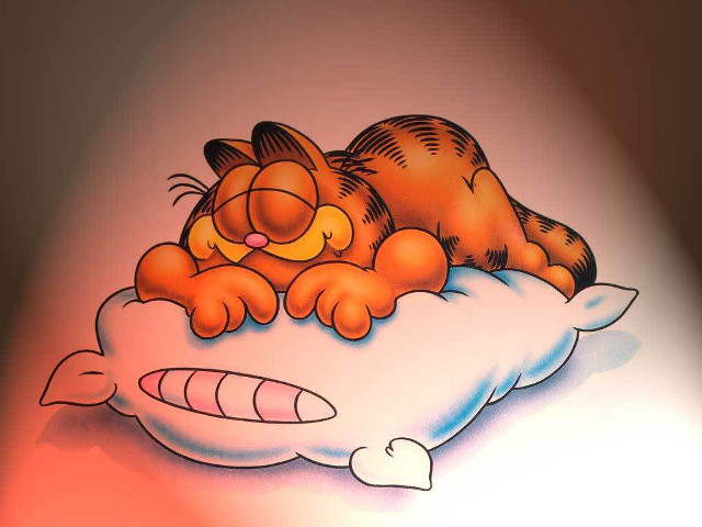 Cat sleeping pillow fish back free wallpaper - medium preview image